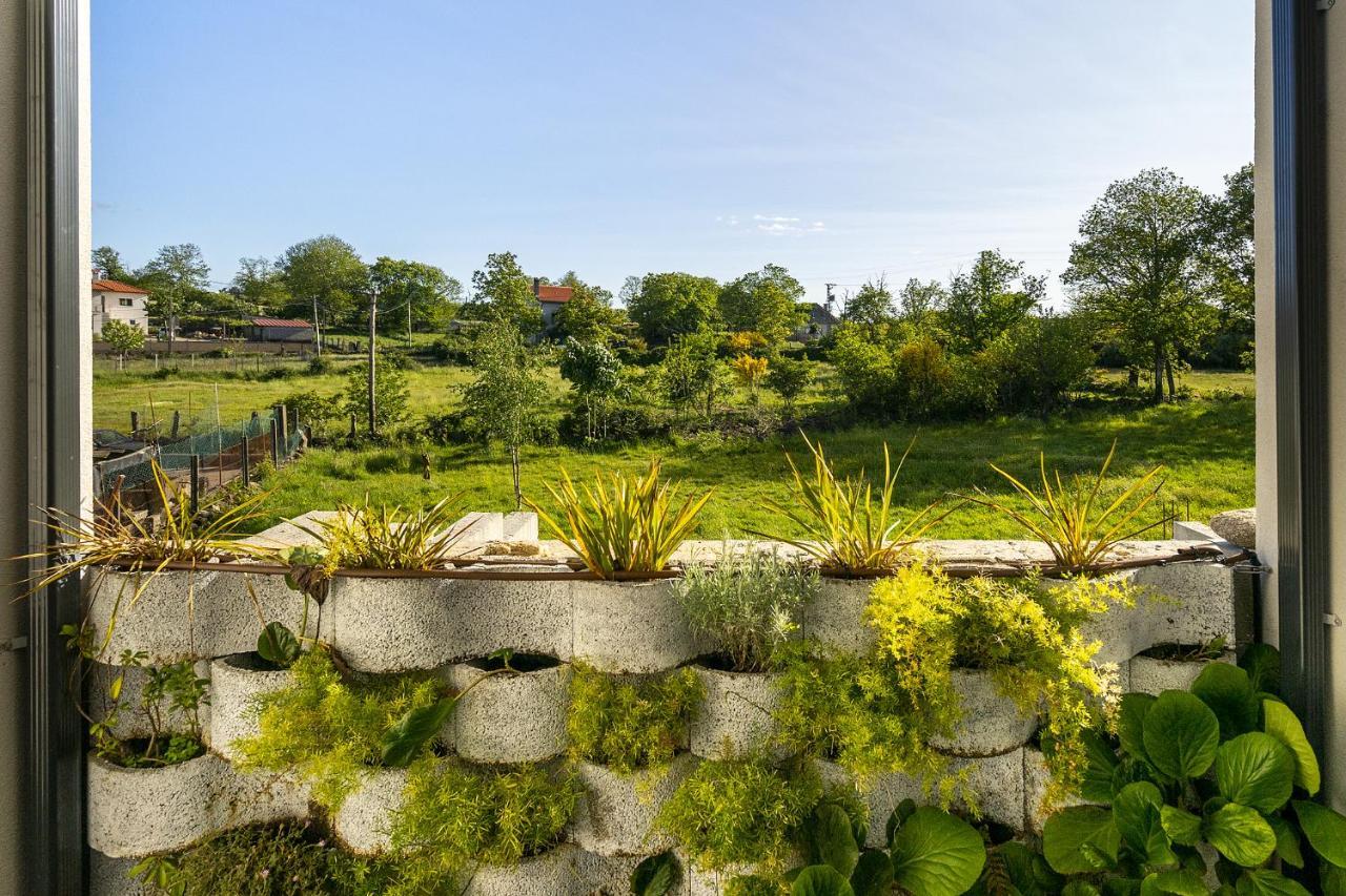 Isatour -Natural Park House Vouzela Exterior photo